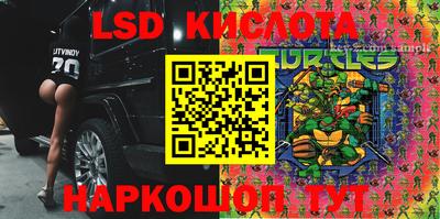 индика Ливны