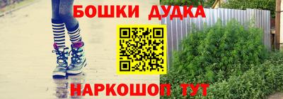 дживик Лесосибирск
