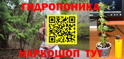 ГАЛЛЮЦИНОГЕННЫЕ ГРИБЫ Ликино-Дулёво