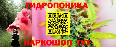 индика Ливны