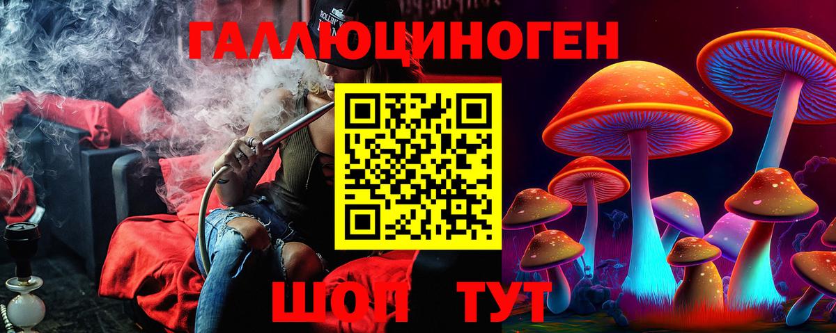 Псилоцибиновые грибы Psilocybe  Вход с VPN  Шадринск 